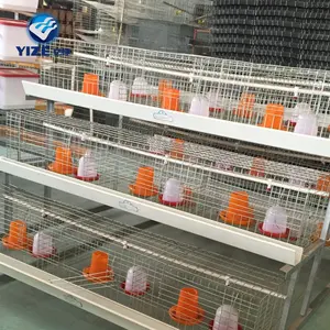 Venta caliente de jaula de pollo para la venta en Filipinas/Huevos de corral jaulas de pollo (de fábrica)