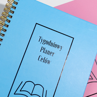 Vente en gros de carnets personnalisés, impression durable de papier et de carton à couverture rigide, carnet de notes de journal pour le bureau