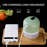 Nieuwe Product Ideeën 2026 Fruit&Groente Gereedschap 250ml Mini USB Elektrische Knoflookhakker Voedselhakker Snijder Met USB Kabel