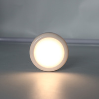 Lumière LED pour armoire à 13 couleurs avec télécommande, variateur d'intensité, lumière nocturne infrarouge moderne RGB, étanche, alimentée par batterie pour la maison