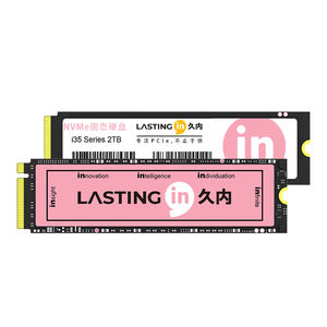 Lstingin nvme m.2 2280 sd 512Gb 1TB 2TB गेमिंग कंप्यूटर और गेमिंग लैपटॉप के लिए - Product Image 1