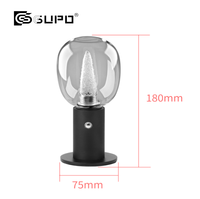 Lampe de présentation verticale mini globe blanc 2,8W, contrôle tactile, sans fil Type-C, forme boule givrée, pour vitrine et décoration