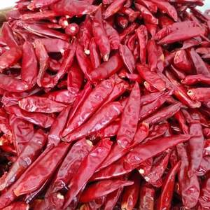 100% 天然优质干红辣椒批发散装供应商正宗风味中国 - Product Image 3