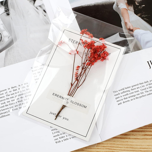 Nắp Kéo Trong Suốt lớn rõ ràng tự niêm phong dính nhựa Poly OPP Giấy bóng kính túi với tùy chỉnh in ấn logo - Product Image 1