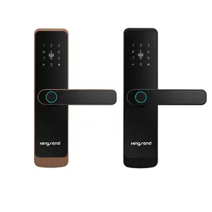 Serrure de porte intelligente de porte en bois Wifi avec serrure de mot de passe tuya et ttlock