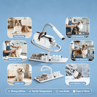 Aspirateur à poils d'animaux silencieux, machine à aspirer électrique pour le toilettage des chiens et des chats, kit de toilettage multifonction pour animaux de compagnie, utilisation domestique