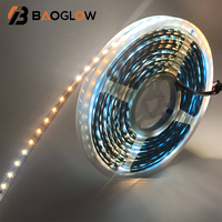 Bande LED Moderne 2835 108 LED/m Pliable avec Télécommande pour Enseignes Publicitaires, Tubes LED Séparés, Bandes Lumineuses pour Téléviseurs et Hôtels