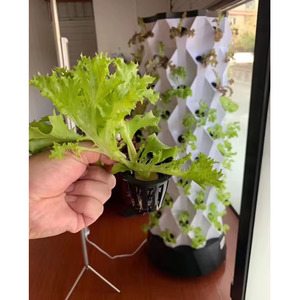 Gran Torre hidropónica nueva para uso doméstico para plantación de vegetales <span class=keywords><strong>y</strong></span> agricultura agronómica - Product Image 5