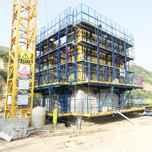 Coffrage auto-grimpant hydraulique de système de construction de sécurité de fabricant de la Chine pour la forme de construction de mur de soutènement