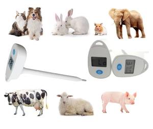 Fábrica al por mayor -- Termómetro doméstico para mascotas Veterinar Termómetro digital Productos para mascotas Termómetro electrónico para mascotas - Product Image 6