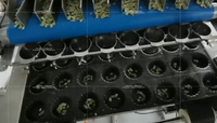 Granulateur automatique commercial à haute efficacité, machine à pulvérisation ponctuelle pour la production de pain en boulangerie