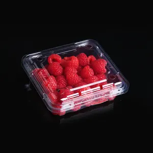 PET Tablett Verpackung Heidelbeeren Verpackung 125G Kunststoff Blueberry Obst Box Blister Lebensmittel Akzeptieren