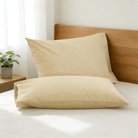 Taie d'oreiller personnalisée en coton biologique de haute qualité avec fermeture éclair, style enveloppe, fibres d'argent, améliore le sommeil, antistatique