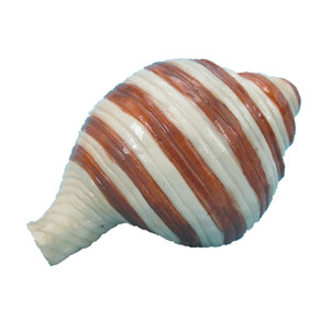 Escultura de concha personalizada, artesanías de resina, adornos artificiales para pecera y estatuilla de concha marina para la decoración del acuario del hogar - Product Image 5