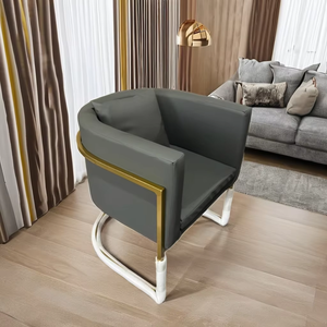 गर्म बिक्री शीर्ष गुणवत्ता बैंगनी kTV सोफा (Hb214) - Product Image 4