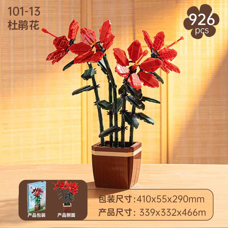 อาซาเลีย 101-13