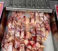 Trancheuse de viande congelée/fraîche machine à couper les cubes de viande de boeuf, de porc et de poulet machine à découper la viande