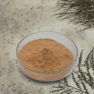 Poudre <span class=keywords><strong>de</strong></span> <span class=keywords><strong>jus</strong></span> <span class=keywords><strong>de</strong></span> raisin <span class=keywords><strong>de</strong></span> qualité alimentaire, poudre <span class=keywords><strong>de</strong></span> fruit <span class=keywords><strong>de</strong></span> raisin biologique lyophilisée, fournie par le fabricant - Product Image 5