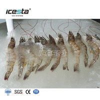 Machine à glace en pâte de sel d'eau salée ICESTA |   3 tonnes, automatique, économie d'énergie, haute fiabilité, pour bateau de pêche