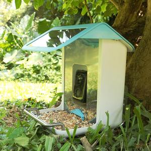 Caméra pour nichoir d'oiseaux sauvages sans fil avec IA pour identifier les espèces d'oiseaux, capture automatique de vidéos d'oiseaux et notifications - Product Image 6