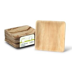 Assiettes jetables carrées en feuilles de palmier naturelles, écologiques, biodégradables, luxe, 23x23cm, pour fêtes - Product Image 2