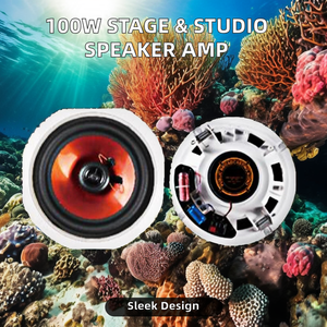 Amplificateur 2 voies de studio magnétique de 100 watts équipement de scène de musique de bricolage avec adresse publique composant CB décoratif haut-parleur de musicien - Product Image 3