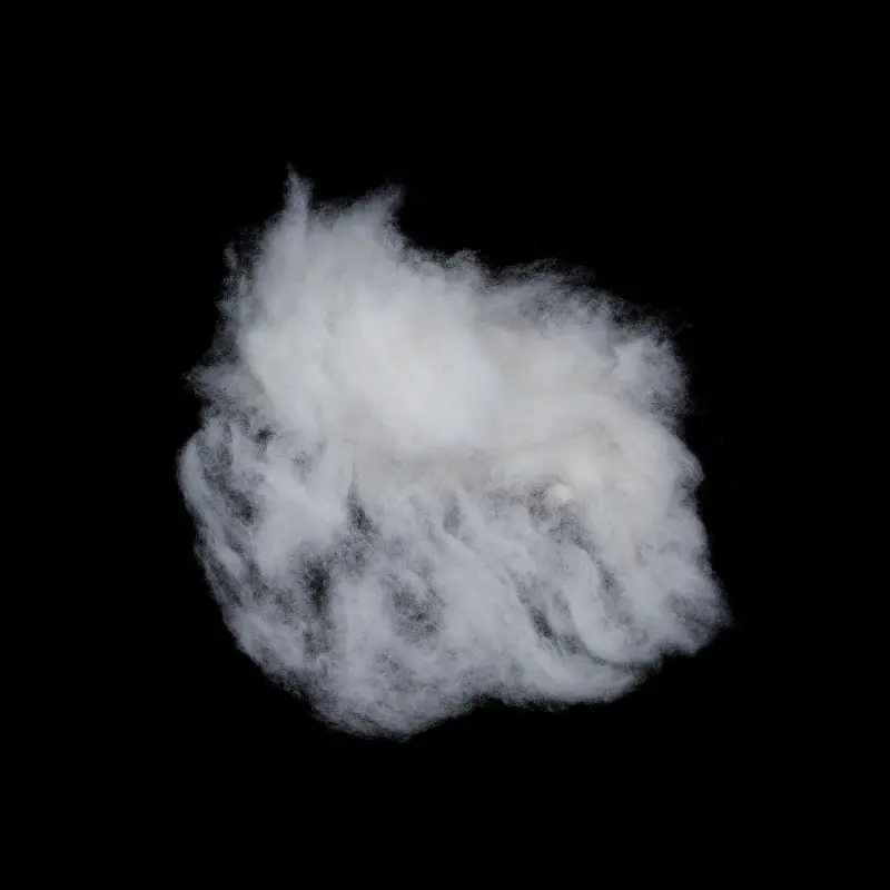 Pemasok Tiongkok Carded Wool Fiber Wol Domba Super Dicuci untuk Benang Karpet