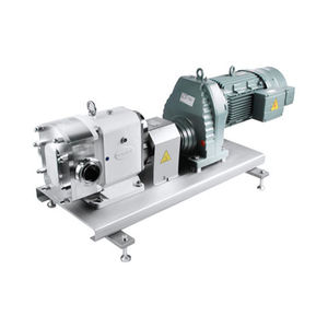 Donjoy食品グレードステンレス鋼316Lロータリーローブポンプ、外部安全弁保温システムチョコレートハニー付き - Product Image 5