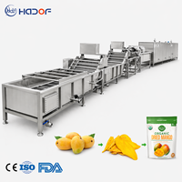 Industriële mango gedroogd fruit en groente verwerkingslijn fabrikant
