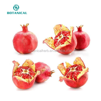 Bci Leveren Gedroogd Organisch Granaatappelpoeder Natuurlijk/Granaatappelfruitpoeder P.E.
