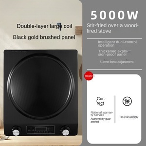 Table de cuisson à induction double brûleur CE CB de haute qualité 500W portable avec surface en fonte 24 cm, classe d'efficacité énergétique, pour usage hôtelier - Product Image 1