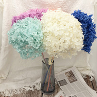 Bunga Hydrangea Awet Buatan Tangan Beraneka Warna, Bunga Abadi untuk Wisuda, Tahun Baru Imlek, Hadiah Natal, Tahan Lama