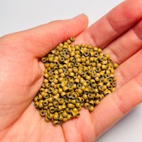 1000 pièces de perles nano pour extensions de cheveux, 3,0 mm x 1,5 mm x 2 mm, anneaux micro-liens en cuivre doublés de silicone