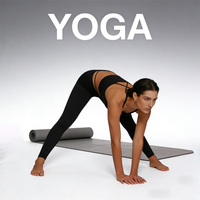 Ensemble de yoga et de sport personnalisé, écologique et recyclé, comprenant : soutien-gorge de sport, débardeur court de sport, pantalon de yoga taille en V, sous-vêtements, leggings d'entraînement à coutures sculptantes