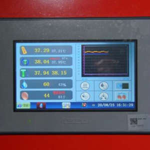 Système d'incubation en tunnel industriel, solution d'éclosion pour 90 720 œufs avec manutention automatisée des œufs pour projets avicoles commerciaux - Product Image 6