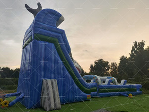 30 ft cao 2-Lane cá mập trượt nước unisex Inflatable Dual Lane SLIDES cho sân chơi ngoài trời và các bên bao gồm quạt gió - Product Image 5