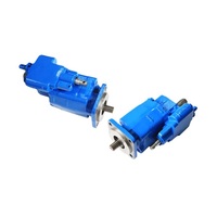 Venta Caliente de Bombas de Engranajes para Camiones de Volteo Parker Serie C101/G101 y C102/G102, Modelos C101-20, C101-25, C102-20, C102-25, Bomba de Engranajes PTO