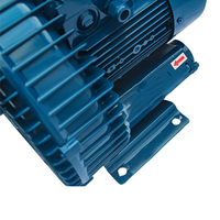 Pompe à air pour bain moussant 700W