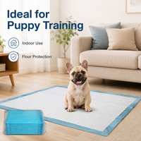 Almohadillas de Entrenamiento Desechables para Mascotas, Súper Absorbentes, a Prueba de Fugas, con Logotipo Personalizado, Venta al por Mayor para Perros
