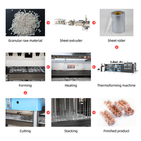 Machine de thermoformage entièrement automatique à 3 stations, ligne de production de barquettes à œufs de qualité alimentaire, machine de fabrication de contenants en plastique pour aliments