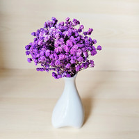 Buket Bunga Gypsophila Kering Alami Grosir, Buket Bunga Babysbreath Mini Awet untuk Rangkaian Bunga