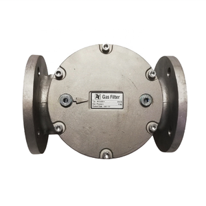 Filtre à gaz à bride filetée DN50/65/80/100/125/150 pour pièces de rechange de chaudières industrielles et générateurs - Product Image 4