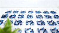 Beadlets Granulés avec Huile Remplis de Capsule/Gélule dure à base de plantes Halal Certifié OEM GMP Fabricant Supplément Nutritionnel