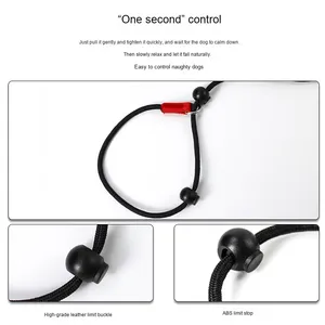 Venta directa del fabricante, cadena P, grado <span class=keywords><strong>de</strong></span> carreras, nailon sólido, cuerda <span class=keywords><strong>de</strong></span> remolque para mascotas para <span class=keywords><strong>cachorros</strong></span>, decoración <span class=keywords><strong>de</strong></span> cinta para <span class=keywords><strong>perros</strong></span> pequeños, medianos y grandes - Product Image 3