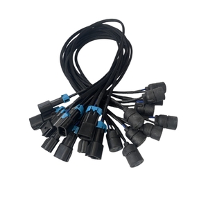 El conector 15300002 impermeable de 2 pines se conecta al arnés de cables personalizado con enchufe MS271451 - Product Image 1