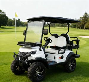Hochwertiger Weißer Geländegängiger Elektro-Golfwagen 4 Sitze Sonnenschutz Stauraum Batterie 30km/<span class=keywords><strong>h</strong></span> Geschwindigkeit 90km Reichweite Sightseeing-Fahrzeug aus Aluminium - Product Image 6