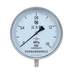 Manómetro de Acero Inoxidable Suzhou Xuansheng Y200 de 250 mm, Precisión 1.6, Conexión Roscada para Calderas de Vapor - Product Image 1