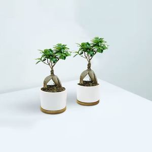 Vases à fleurs en céramique personnalisables par sublimation avec plateau en bambou, pot de fleurs de bureau en gros - Product Image 1