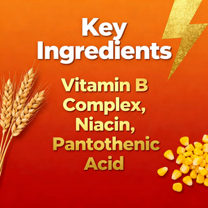Ovita OEM de etiqueta privada <span class=keywords><strong>complejo</strong></span> de vitamina <span class=keywords><strong>B</strong></span> gotas líquidas con vitamina B3, B6, B12 suplemento <span class=keywords><strong>para</strong></span> energía y apoyo al metabolismo - Product Image 2