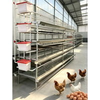 Cages à volailles de style H entièrement assemblées pour poules pondeuses, avec perchoirs réglables et plateaux de nidification inclinés